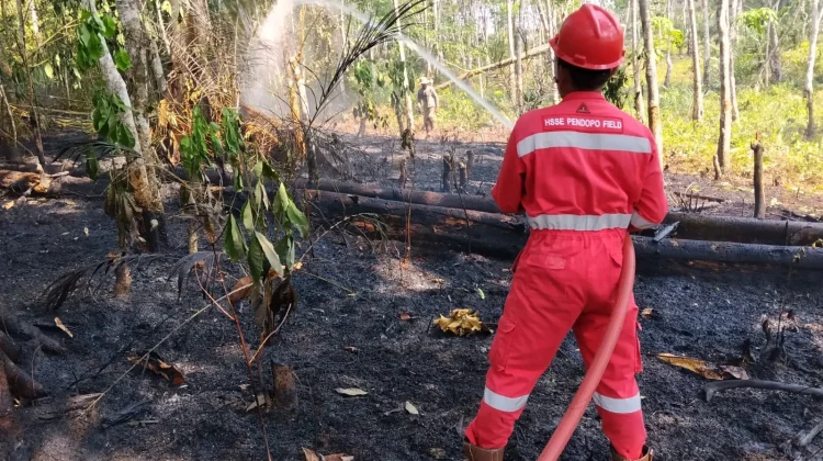 PHR Zona 4 Padamkan Lebih dari 100 Titik Api Karhutla di Sumsel