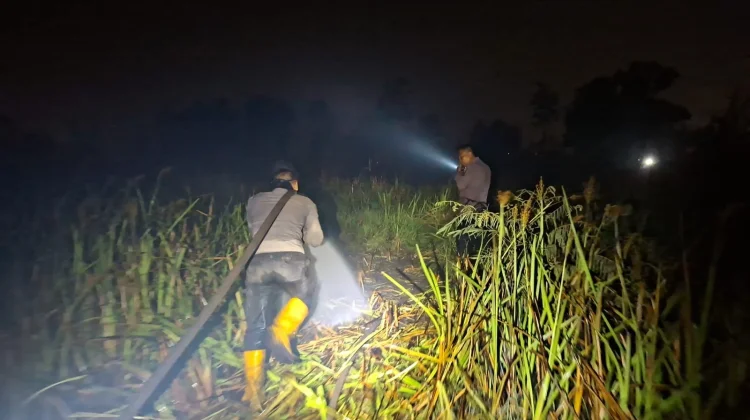 Satgas Karhutla Padamkan Kebakaran Lahan 7 Hektare di Ogan Ilir