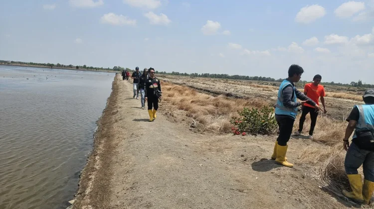 PLN S2JB Percepat Elektrifikasi Desa melalui Survei PLTS Komunal Sumsel