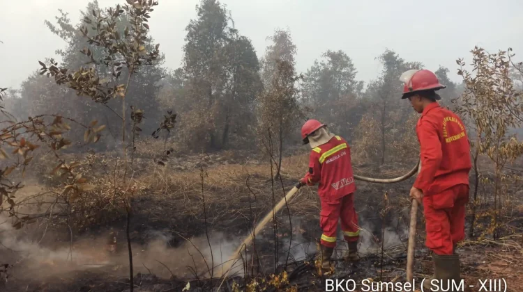 Pemadaman Karhutla Kebun Raya Sriwijaya Memasuki Hari Kedelapan