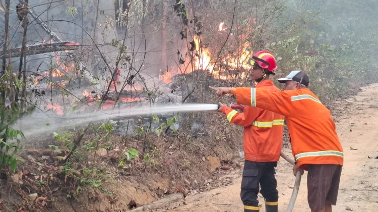Karhutla Lima Hektare di Sekayu Padam, BPBD Muba Imbau Warga Waspada