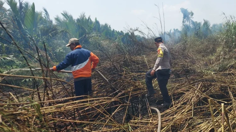 Hotspot Terdeteksi, Polisi dan Warga Padamkan Api di Teluk Payo Banyuasin
