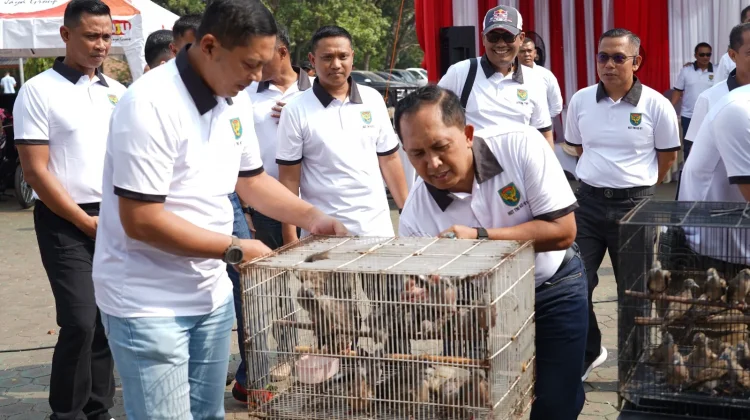 HUT ke - 81 TNI, Kodam II/Sriwijaya Gelar Lomba Kicau Mania Piala Pangdam