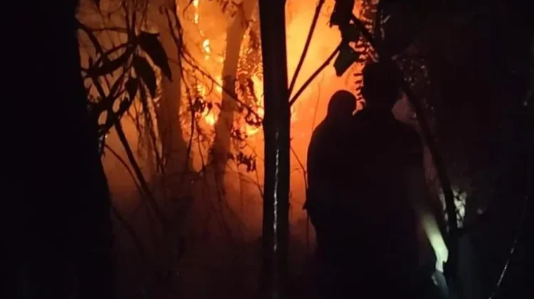 Tim Gabungan Jinakkan Tujuh Titik Karhutla di Ogan Ilir