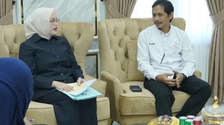 PLN Siapkan PLTS Komunal untuk Perluas Listrik di Kuala Sugihan
