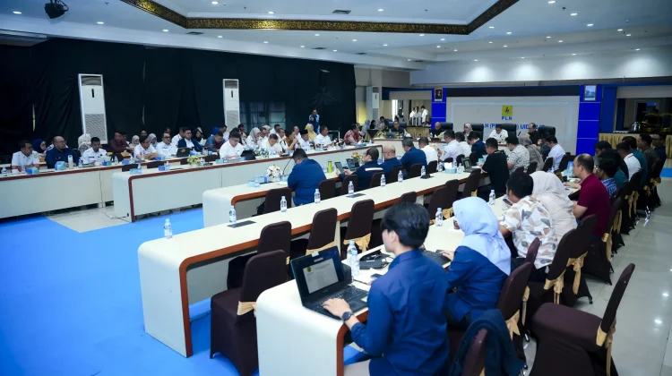PLN Percepat Program Listrik Desa, 129 Lokasi Sumsel Dipetakan