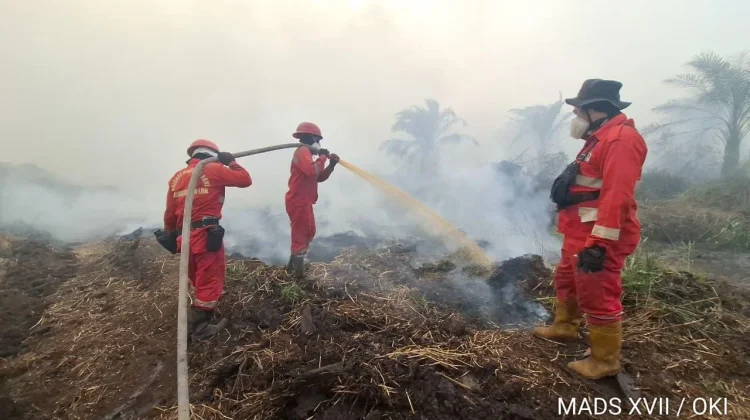 Hotspot Nasional Menurun, Sumsel Masih Tertinggi Prioritas Penanganan Karhutla