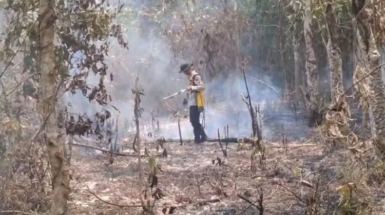 Lahan Warga Tebing Abang Terbakar, Polisi dan MPA Berjibaku Padamkan Api