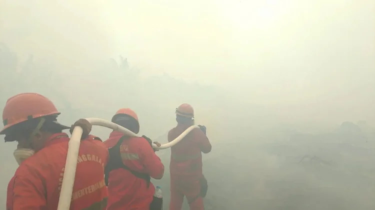 Karhutla Berkontribusi terhadap Penurunan Kualitas Atmosfer Sumatera Selatan