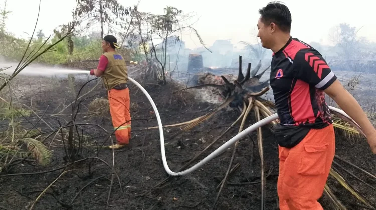 Diduga Dibakar Warga, BPBD Muba Padamkan Enam Hektare Lahan Terbakar