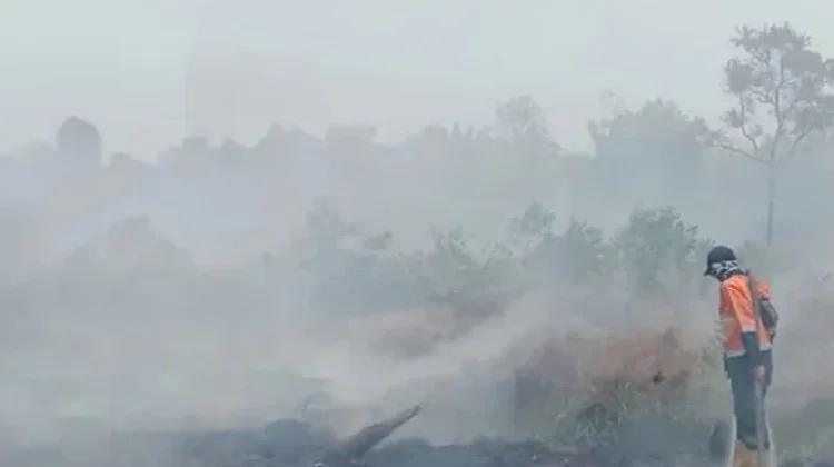 Selama Dua Hari, BPBD Muara Enim Padamkan 10 Hektare Lahan Terbakar di Desa Putak