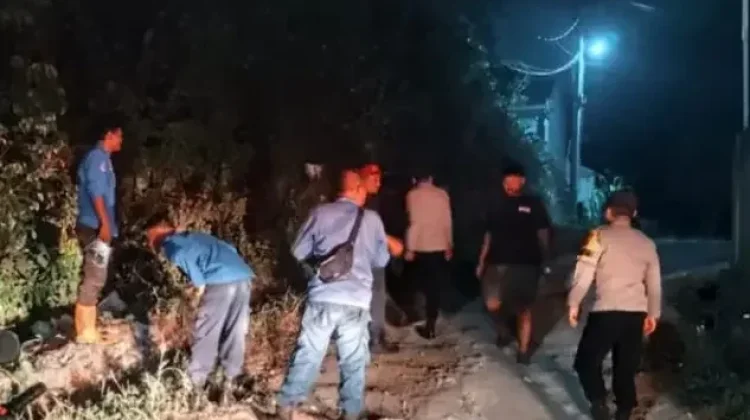 Karhutla di Belakang Perumahan Tubagus 2 OKU Berhasil Dipadamkan