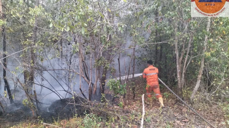 Tiga Lokasi Sekaligus Terbakar di Sekayu dalam Sehari, 11,5 Hektare Lahan Hangus