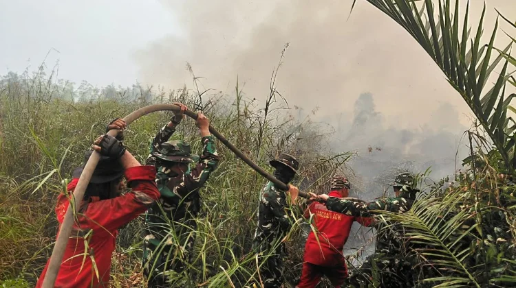 Bara Gambut Muara Medak Membara, TNI dan Warga Bahu-Membahu