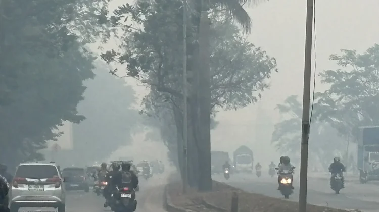 Kabut Asap di Sumsel Menebal, Ratusan Milyar Bantuan Presiden Dipertanyakan