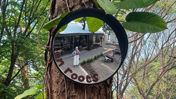 Convex Mirror: Dari Alat Keselamatan Jadi Spot Foto di Kafe