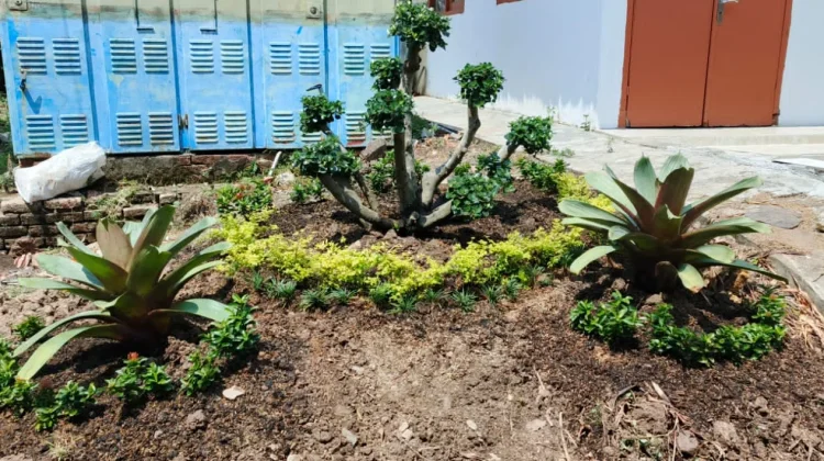 Empat Konsep Taman Kantor yang Bikin Suasana Kerja Lebih Nyaman
