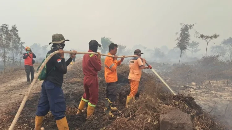 Karhutla di Muara Medak Muba Bakar Sepuluh Hektare Lahan