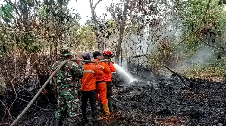 Empat OPD Banyuasin Terima Banpres Karhutla