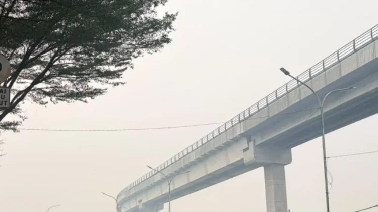 Kabut Asap Ganggu Penerbangan, Bandara SMB II Ingatkan Penumpang Pantau Informasi