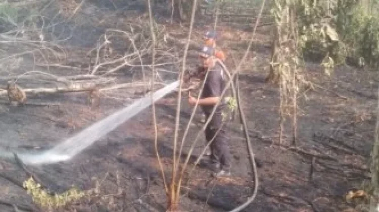 BPBD Muara Enim Padamkan Karhutla di Muaralawai dan Tanjung Jati