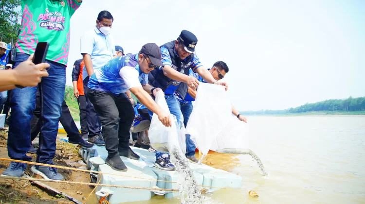 Toha Tohet Tebar 10.000 Benih Ikan saat Penutupan Balap Ketek Muba "Pakam Race"