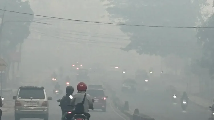 Kabut Asap Membahayakan, Kegiatan Gubernur Sumsel Keluar Kota Dinilai Tak Pantas