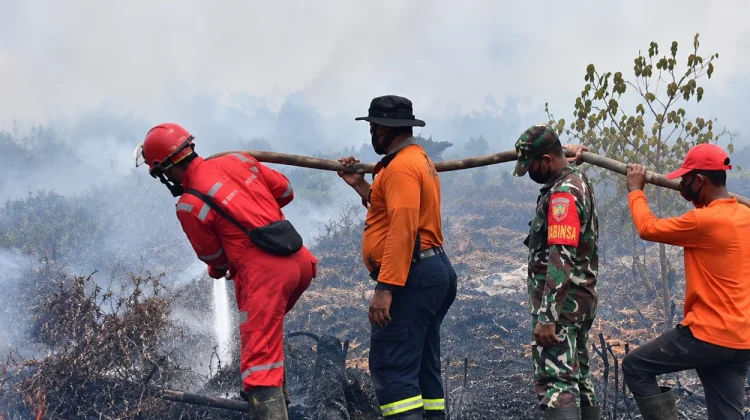 Banyuasin Dikepung Karhutla, Lima Hektare Lahan Gambut Terbakar
