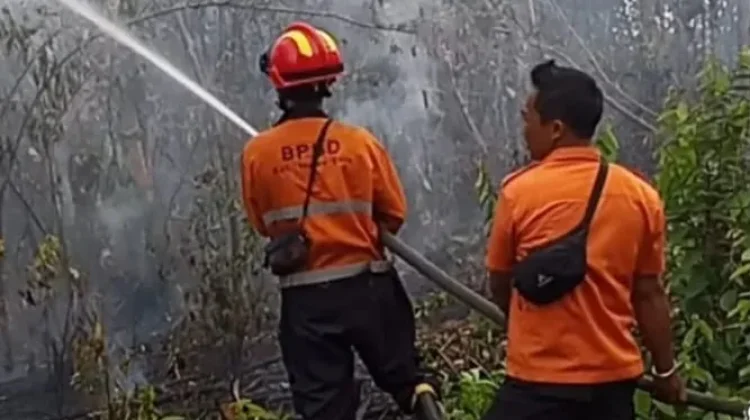 Tim Gabungan Muara Enim Padamkan Api Karhutla di Tiga Lokasi Sekaligus
