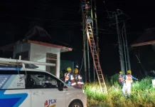 Listrik Padam di Musi Rawas akibat Gangguan Kubikel Diperbaiki
