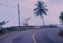 Video Edukasi Jalur Sumatera Viral di YouTube Shorts