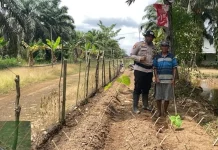 Bhabinkamtibmas Gerakkan Warga Wana Mukti Tanam Pangan