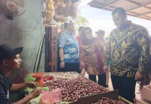 Pantau Lonjakan Harga, Pemkab Banyuasin Sidak Pasar Rawa Maju
