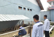 Jalankan Program Asta Cita, Lapas Sekayu Rawat 34 Ekor Itik