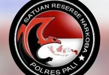 Target Operasi Pekat Musi, Satresnarkoba PALI Tangkap Pengedar Sabu