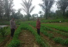Bhabinkamtibmas Polsek Tungkal Ilir Ajak Warga Sukseskan P2B