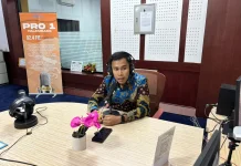 Sumsel Lumbung Pangan Strategi Meningkatkan Produktivitas Perta