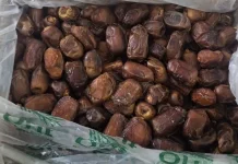 Beragam Manfaat Kurma untuk Kesehatan