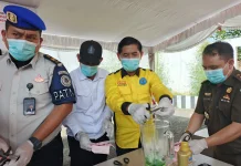 Cegah Penyalahgunaan, BNK Banyuasin Gencarkan Edukasi Narkoba