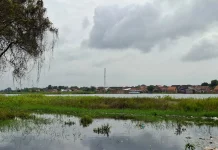 Lebak Pedamaran Jadi Sumber Kehidupan Warga Ogan Komering Ilir