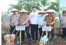 Polres Lubuklinggau Tanam Jagung Serentak Seluas 1,5 Hektare
