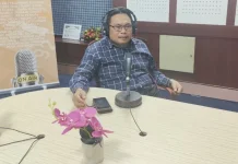 Pengamat Dorong Pendidikan tanpa Sekat di Sumatera Selatan