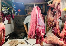 Peternak Pastikan Stok Sapi Aman jelang Idulfitri
