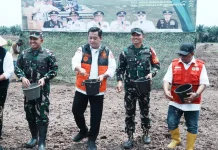 Bupati Banyuasin Komitmen Tingkatkan Produksi Pangan Daerah