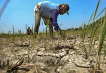 Fenomena “Godzilla El Nino” dan IOD Positif Picu Cuaca Ekstrem di Indonesia