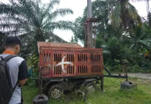 Desa Kuripan, OKI Kini Terhubung Internet Cepat