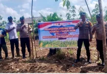 Dukung Ketahanan Pangan, Polres OKU Tanam Jagung