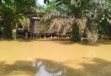 Luapan Dua Sungai Akibatkan Banjir di Kecamatan Bayung Lencir