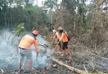 Ogan Komering Ilir Tetapkan Status Siaga Karhutla