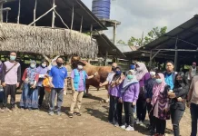 Pengawasan Kurban Terbatas, Risiko Kesehatan Mengintai